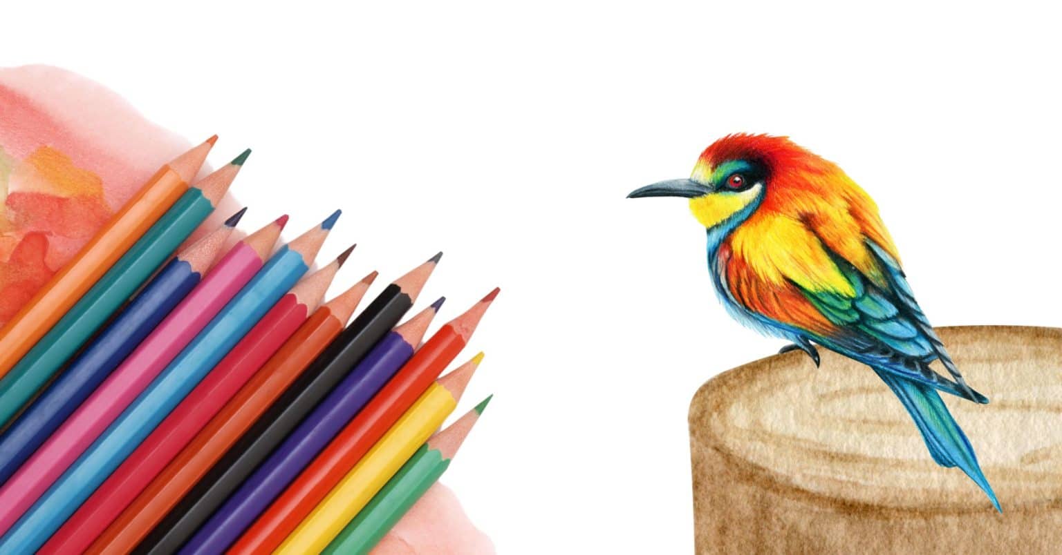 Comment dessiner un Crayon  Dessin de Crayon 