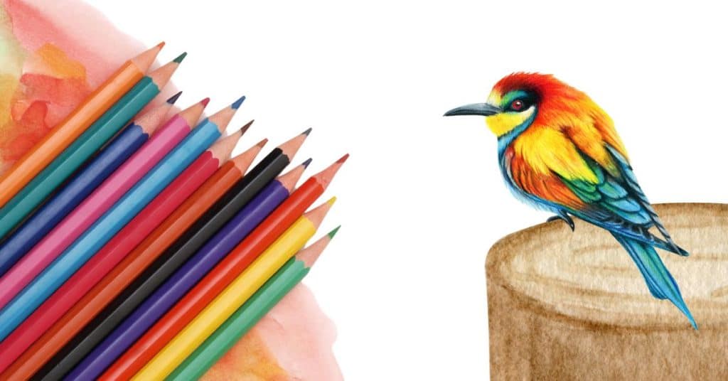 Image de mise en avant de l'article comment utiliser les crayons aquarelle