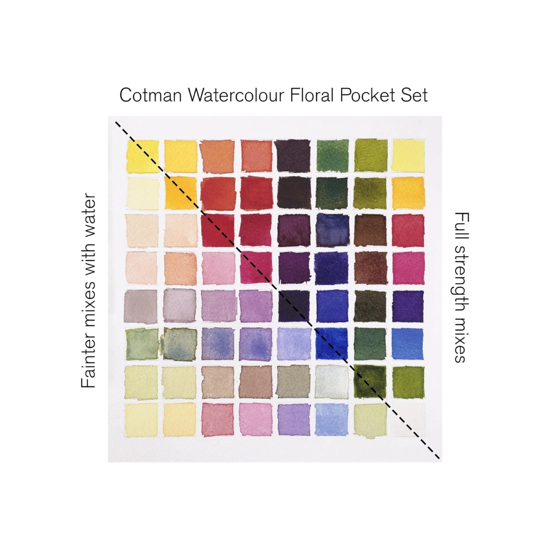 Aquarelle Winsor & Newton Cotman floral - Boite de 8 1/2 godets + 1 pinceau – Image 7