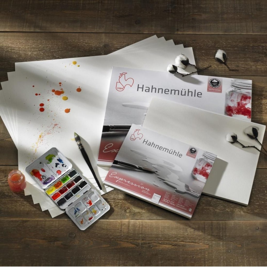 Feuille Hahnemühle® Expression - 300 gr/m² - Grain fin
